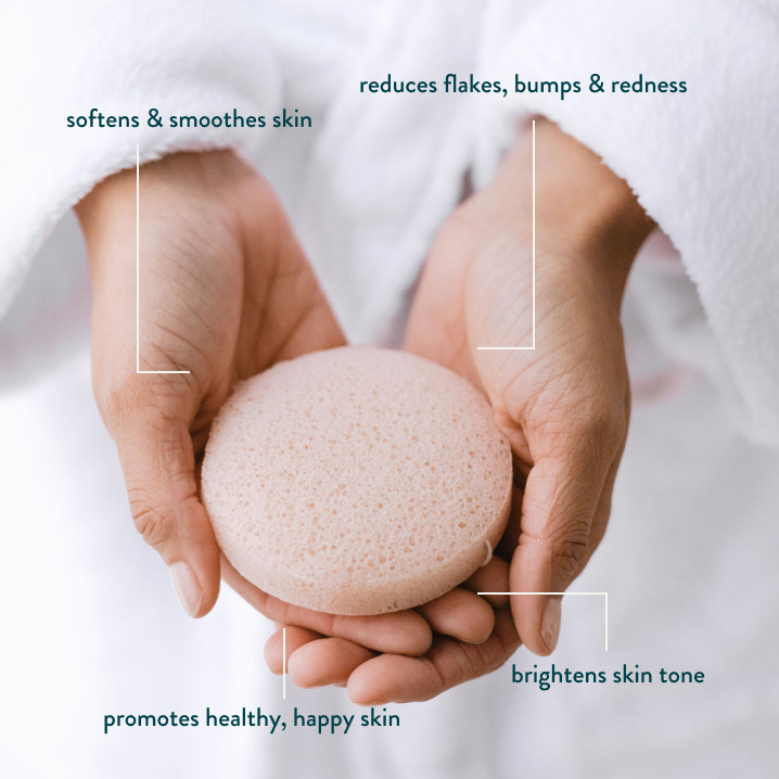 Wyld KONJAC FRENCH | - PINK PACK SPONGE Skincare OF CLAY 3
